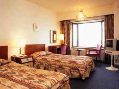 Hikone View Hotel Exterior photo